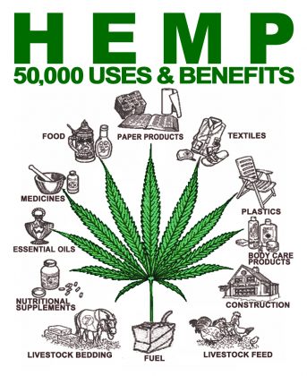 Benefits of Hemp