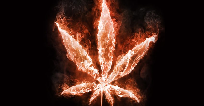 Potential Hazards of Cannabis Extraction Facilities