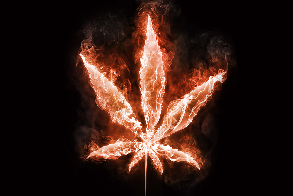 Potential Hazards of Cannabis Extraction Facilities