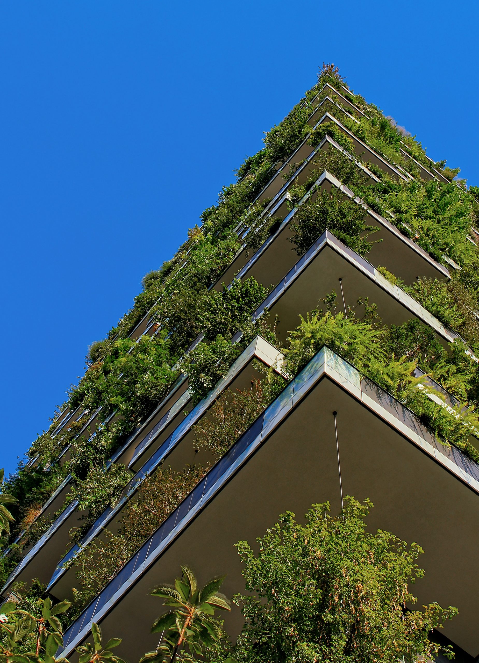 How To Transform Your Project Into A Green Construction?