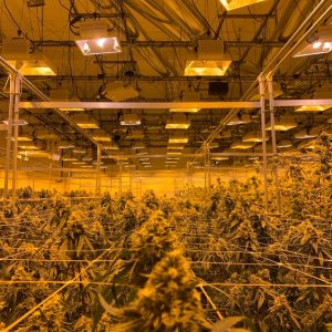 Cultivation Facility