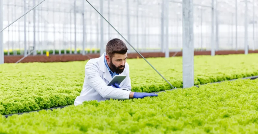 Integrating Vertical Farming Infrastructure into Urban Building Design