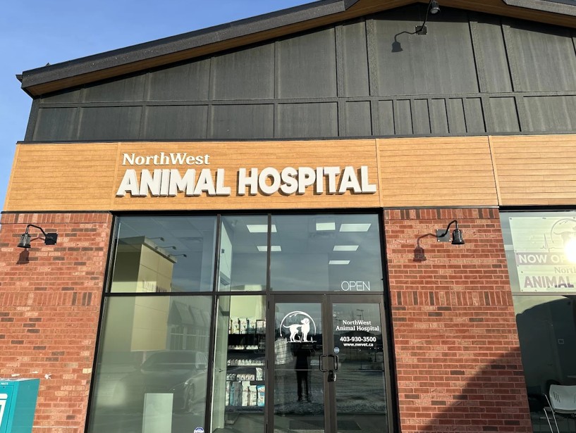 MEP Design for NorthWest Animal Hospital at Carrington-Plaza-NW-Calgary-AB